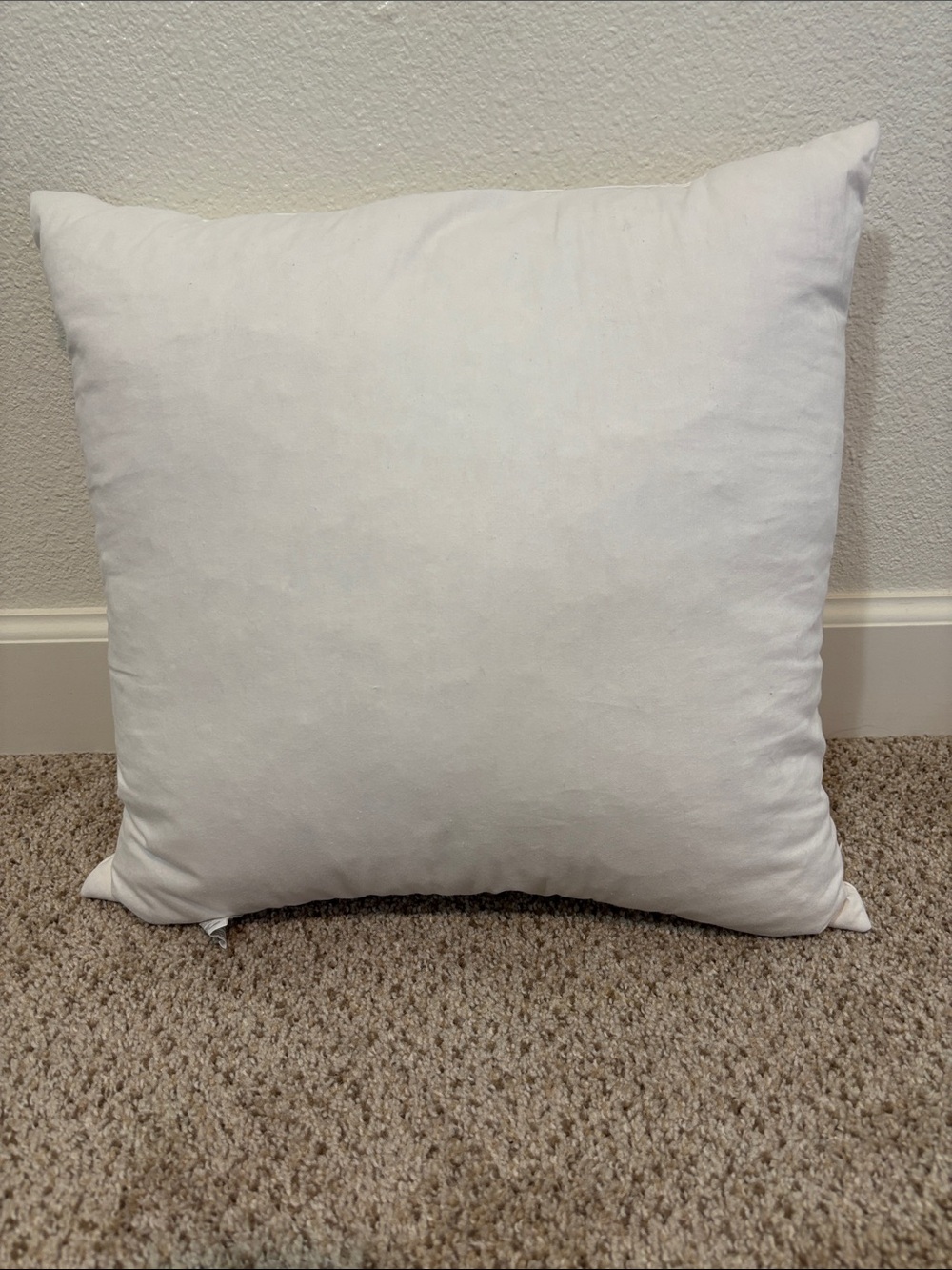 Pottery Barn Cotton Down Pillow Insert 18”x18” home decor cozy waterfowl feather